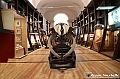 VBS_0934 - Riapre il Museo di Scienze Naturali dopo dieci anni di chiusura